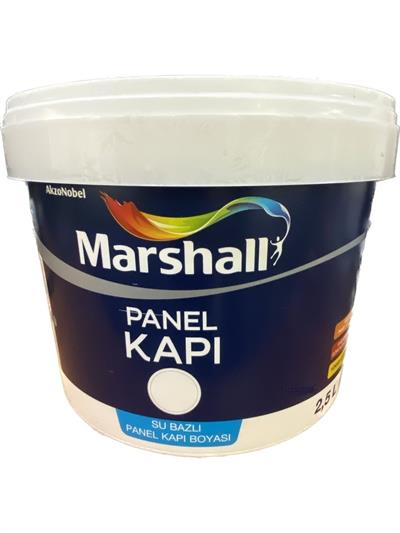 PANEL KAPI BOYASI BW SU BAZLI