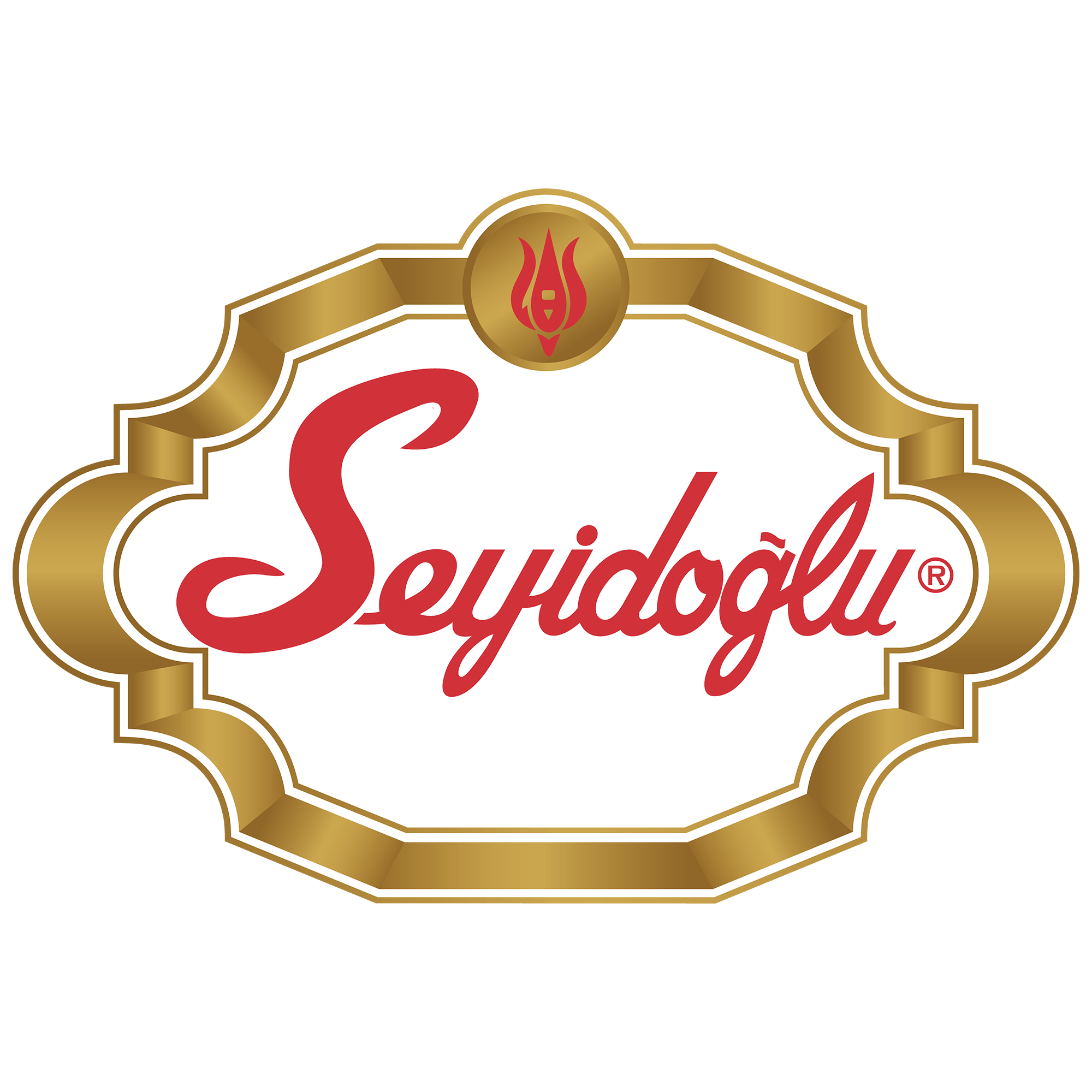 Seyidoğlu Logo