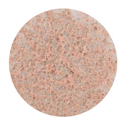 PolishMaster Q100 Diamond Pad #200 - 15271103