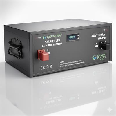 Gesper Energy 48V 100Ah LiFePO4 Batarya