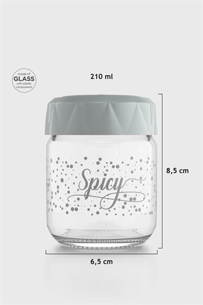 Renga Lexa 210 ml Spicy Desenli Cam Baharatlık 162011 Gri