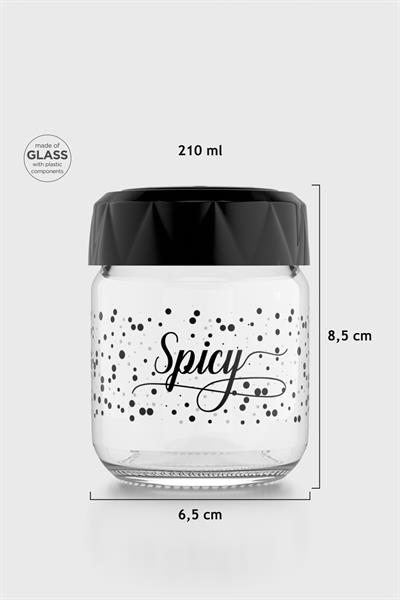 Renga Lexa 210 ml Spicy Desenli Cam Baharatlık 162011 Siyah