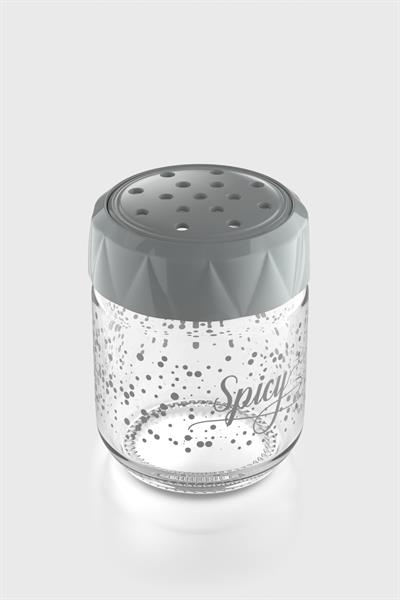 Renga Lexa 210 ml Spicy Desenli Cam Baharatlık 162011 Gri