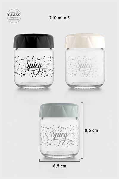 Renga Lexa Spicy Desenli 210 ml 3lü Cam Baharatlık Seti 162011 Siyah-Bej-Gri