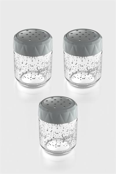 Renga Lexa Spicy Desenli 210 ml 3lü Cam Baharatlık Seti 162011 Gri