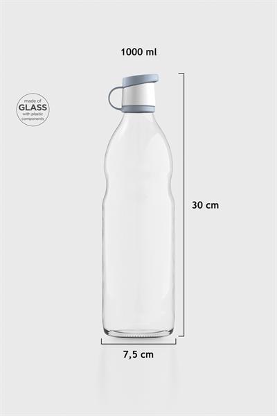 Renga Zen 1000 ml Cam Şişe 181001 Rüzgar Mavi
