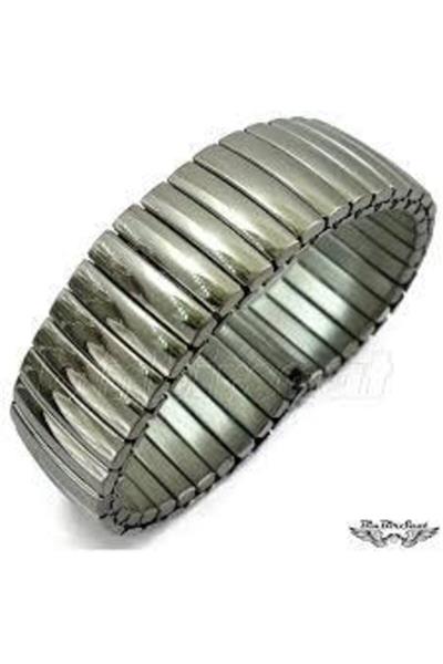 20mm Paslanmaz PNP Çelik Gümüş Renk Yaylı Bilezik Tipi Saat Kordonu