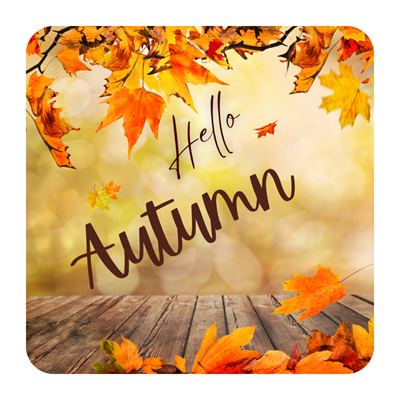 Mevsim Temalı 8li Ahşap Bardak Altlığı