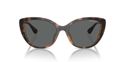 ARMANI EXCHANGE AX4111SU C.821387 54-18 Güneş Gözlüğü