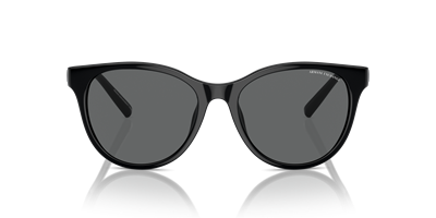 ARMANI EXCHANGE AX4144SU C.815887 54-17 Güneş Gözlüğü