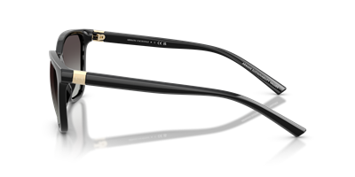 ARMANI EXCHANGE AX4168SU C.81588G 54-19 Güneş Gözlüğü