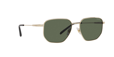 ARNETTE AN3086 C.753/71 56-17 Güneş Gözlüğü
