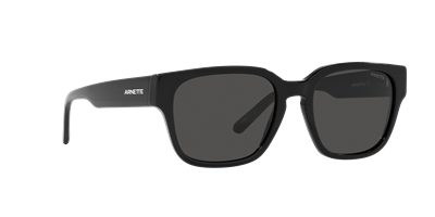 ARNETTE AN 4294 C1214/87 54-19 Güneş Gözlüğü