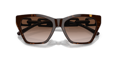 EMPORIO ARMANI EA4203U C.5026/13 55-17 Güneş Gözlüğü