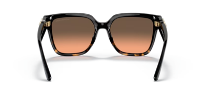 MICHAEL KORS MK 2170U C.390818 54-17 Güneş Gözlüğü