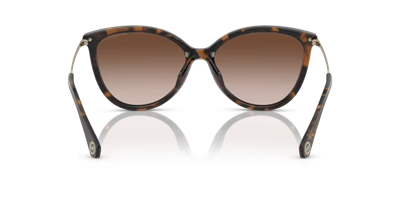 MICHAEL KORS MK 2184U C.300613 56-15 Güneş Gözlüğü