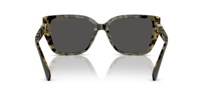 MICHAEL KORS MK 2199 C.395087 55-17 Güneş Gözlüğü