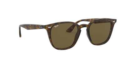 RAYBAN RB 4258 C.710/73 50-20 Güneş Gözlüğü