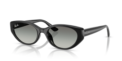 RAYBAN RB4457D C.6677/11 55-19 Güneş Gözlüğü