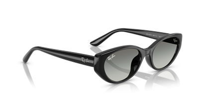 RAYBAN RB4457D C.6677/11 55-19 Güneş Gözlüğü