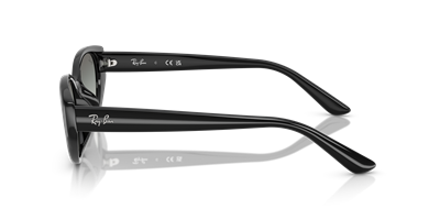 RAYBAN RB4457D C.6677/11 55-19 Güneş Gözlüğü