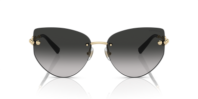 TIFFANY&CO. TF3096 C.6021/3C 60-15 Güneş Gözlüğü