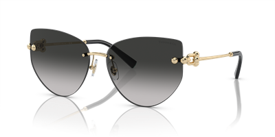 TIFFANY&CO. TF3096 C.6021/3C 60-15 Güneş Gözlüğü