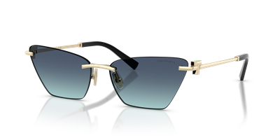 TIFFANY&CO. TF3120 C.6021/9S 61-16 Güneş Gözlüğü