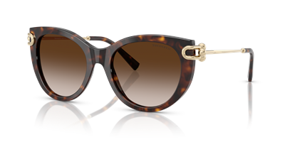 TIFFANY&CO. TF4232 C.8015/3B 53-19 Güneş Gözlüğü