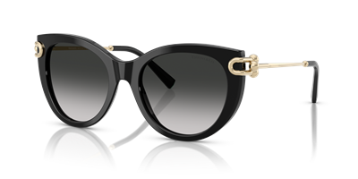 TIFFANY&CO. TF4232 C.8001/3C 53-19 Güneş Gözlüğü