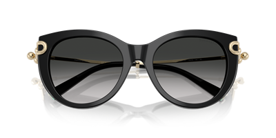 TIFFANY&CO. TF4232 C.8001/3C 53-19 Güneş Gözlüğü