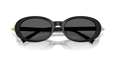 TIFFANY&CO. TF4242-D C.8361/S4 54-19 Güneş Gözlüğü