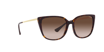 VOGUE VO5435-SI C.W65613 55-17 Güneş Gözlüğü
