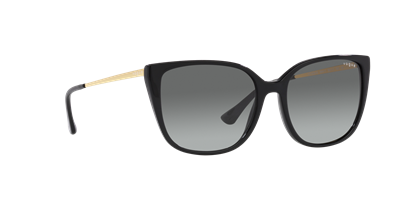 VOGUE VO5435-SI C.W44/11 55-17 Güneş Gözlüğü