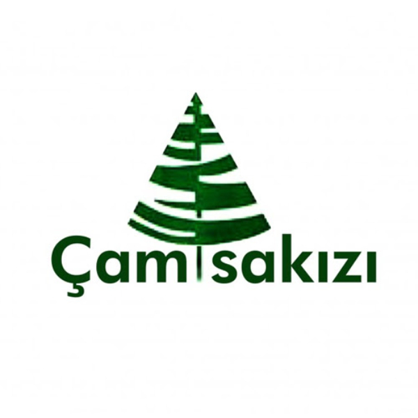 çam sakızı