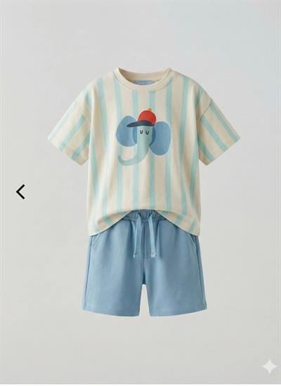 Laciel Paris Elephant Takım