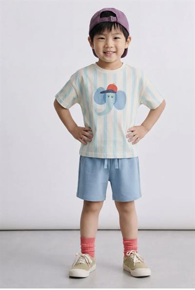 Laciel Paris Elephant Takım