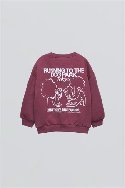 Laciel Paris Unisex Takım