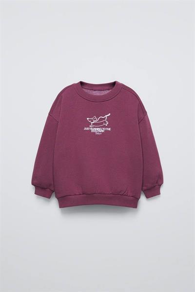 Laciel Paris Unisex Takım