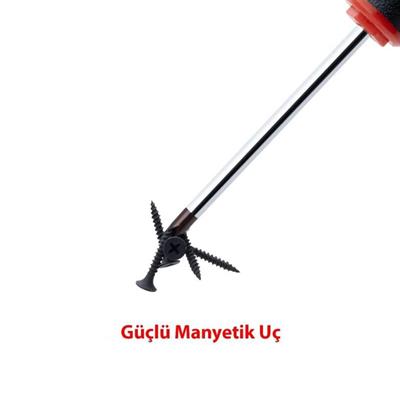 CETA FORM Torx Uçlu Tornavida Takımı Extra Uzun C-Plus 4 Parça