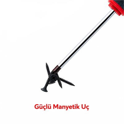 CETA FORM Yıldız Uçlu Tornavida C-Plus PH1 x 100 mm