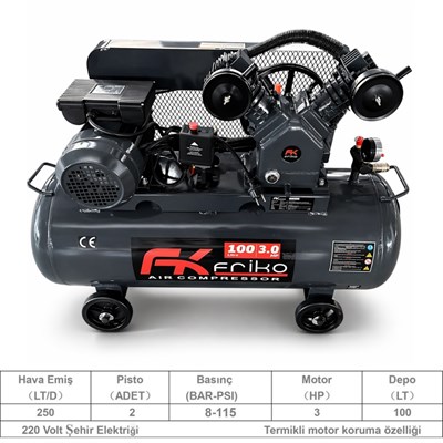 FRIKO 100 LT Çift Piston Hava Kompresörü 8 Bar 220V