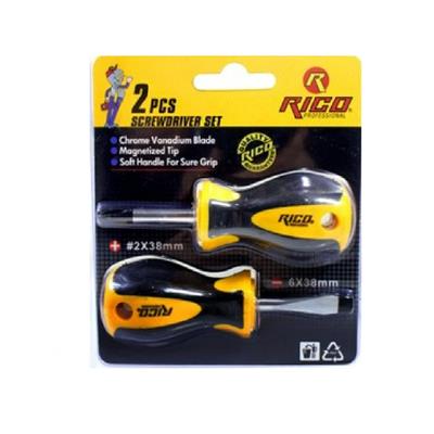 RICO Düz ve Yıldız Uçlu Topaç Tornavida 2 Parça