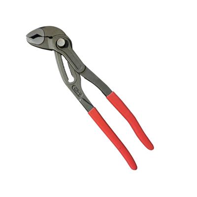 RICO Ayarlı Fort Pense Düğmeli Papağan 10