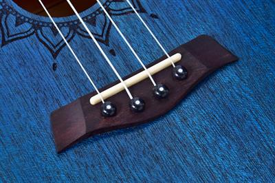 Kaysen U1-24BL Concert Ukulele