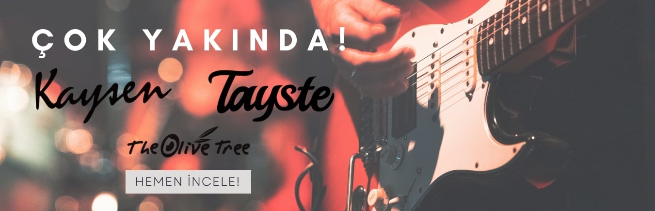Gitarları İncele!
