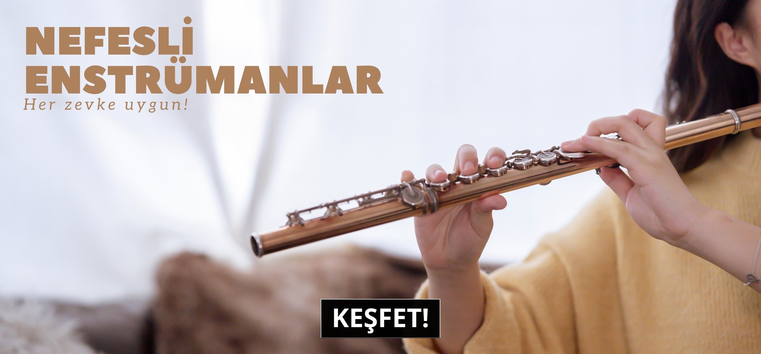 Üflemeli Modelleri