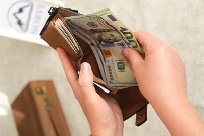 Garnili Kadın Cüzdan Taba – Siyah 1176