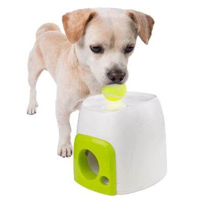 Afp İnteraktiv Otomatik Top Atıcı