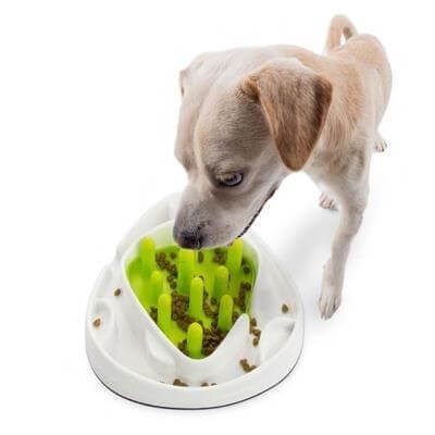 Afp Yavaşlatıcı Mama Kabı 28x28x8 cm